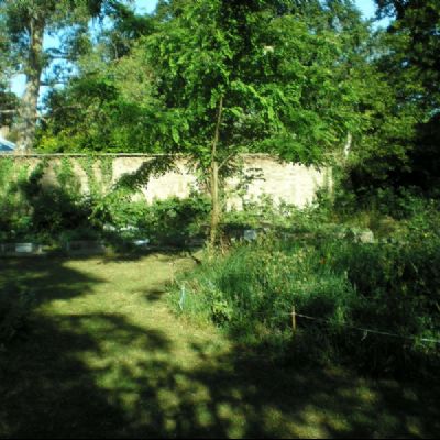 The garden May 2011 showing raised beds and insect garden